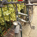 Fahrrad 26 er - Bild 2