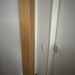 CD Regal Birke Vollholz - Bild 1