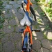 Kinderfahrrad Puky - Bild 7