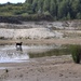 DogSharing - Bild 3