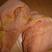 BECKSÖNDERGAARD XXL Schal Nola Cota, rose, NEU - Bild 3
