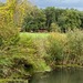 WOHNEN WIE IN KANADA - BLOCKHAUS AM WALDRAND - Bild 48