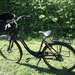 Triumph Damenrad - Bild 1