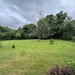 ELLENER FELD,3 Zimmer,Küche,Balkon, nahe DAIMLER  - Bild 1