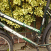 Fahrrad 26 er - Bild 3