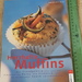 Herzhafte Muffins Rezept-Buch - Bild 1