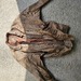 Biker Taschen Lederhosen Helme Jacken - Bild 1