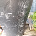Thuja ca 1,20 Höhe 5 Euro  - Bild 2