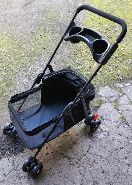 Buggy