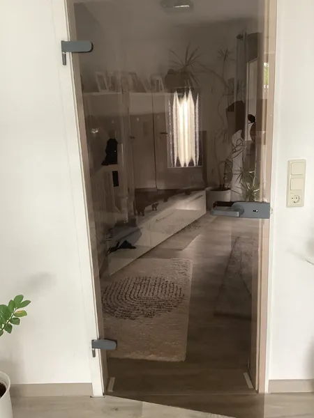 Glastür