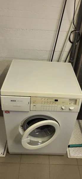 Bosch-1
