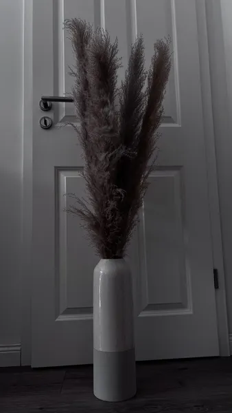 Vase, Kibek, Pampasgras