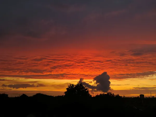 Aussicht "all night long"